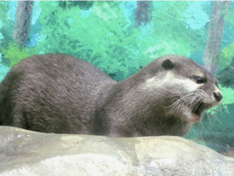 無題 by any 26/01/29